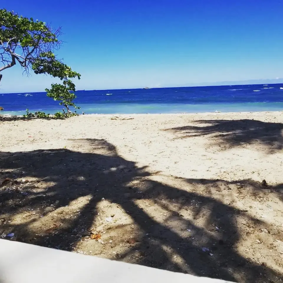 Sombras de palmeras en la playa frente a la villa