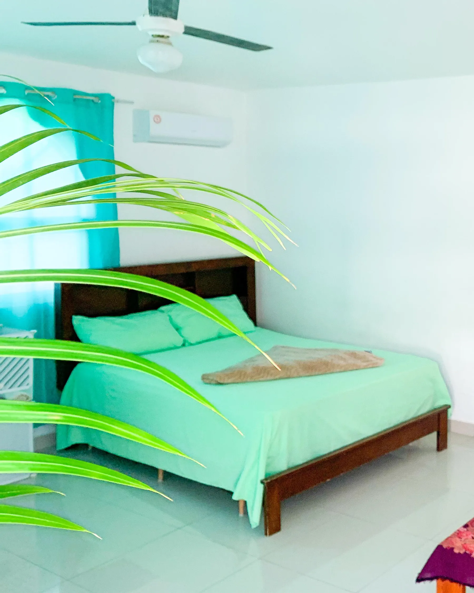 Habitación Jardín