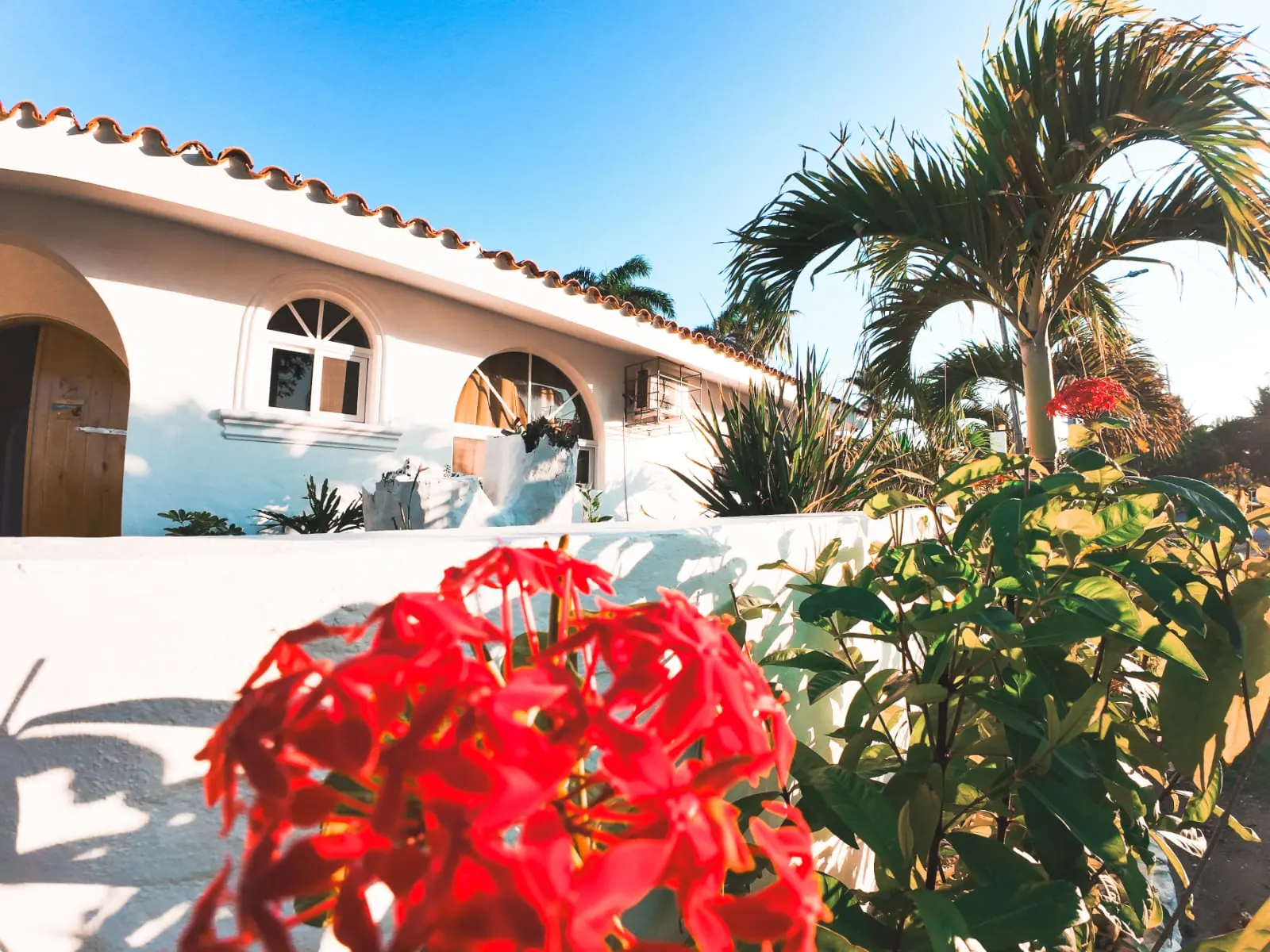 Paredes blancas de la villa e ixora roja